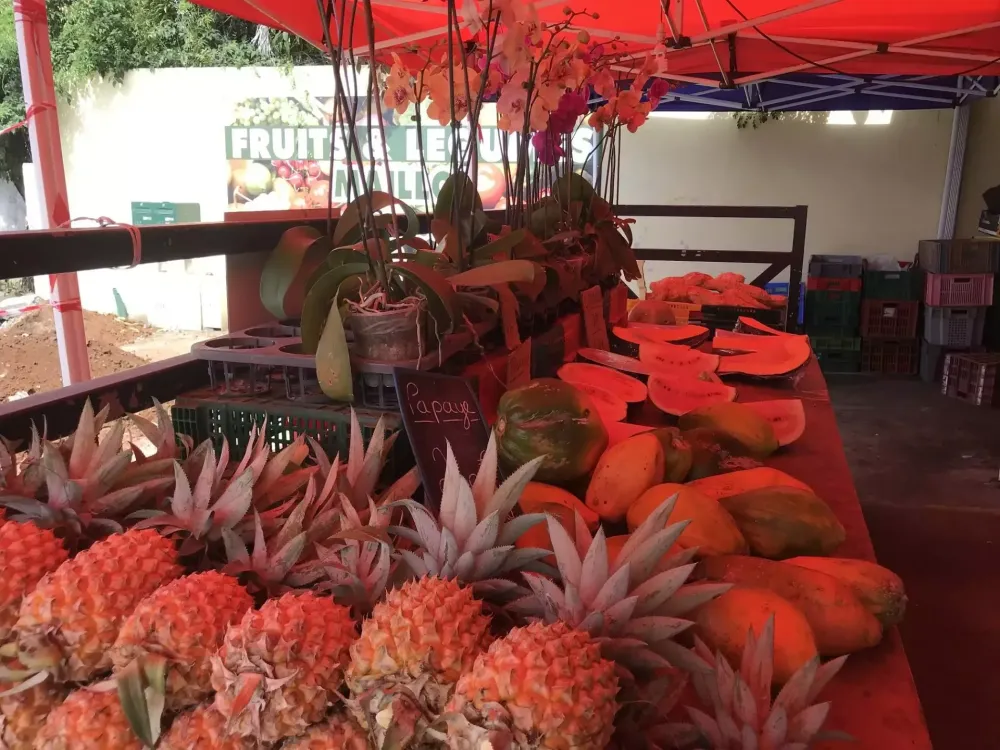 Fruits et legumes